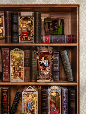 Caduta nel paese delle meraviglie – Inserto per libreria – Immagine 17