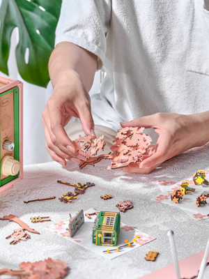Televisore musicale in miniatura – Viaggio tra i ciliegi – Immagine 2