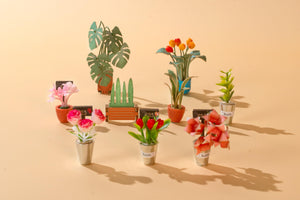 Angolo fiorito in miniatura – Immagine 12