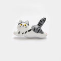Magnete da frigorifero – Gatto tigrato grigio – Immagine 1