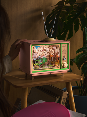 Televisore musicale in miniatura – Viaggio tra i ciliegi – Immagine 11